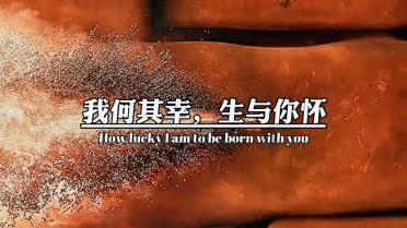 可爱兔子营救